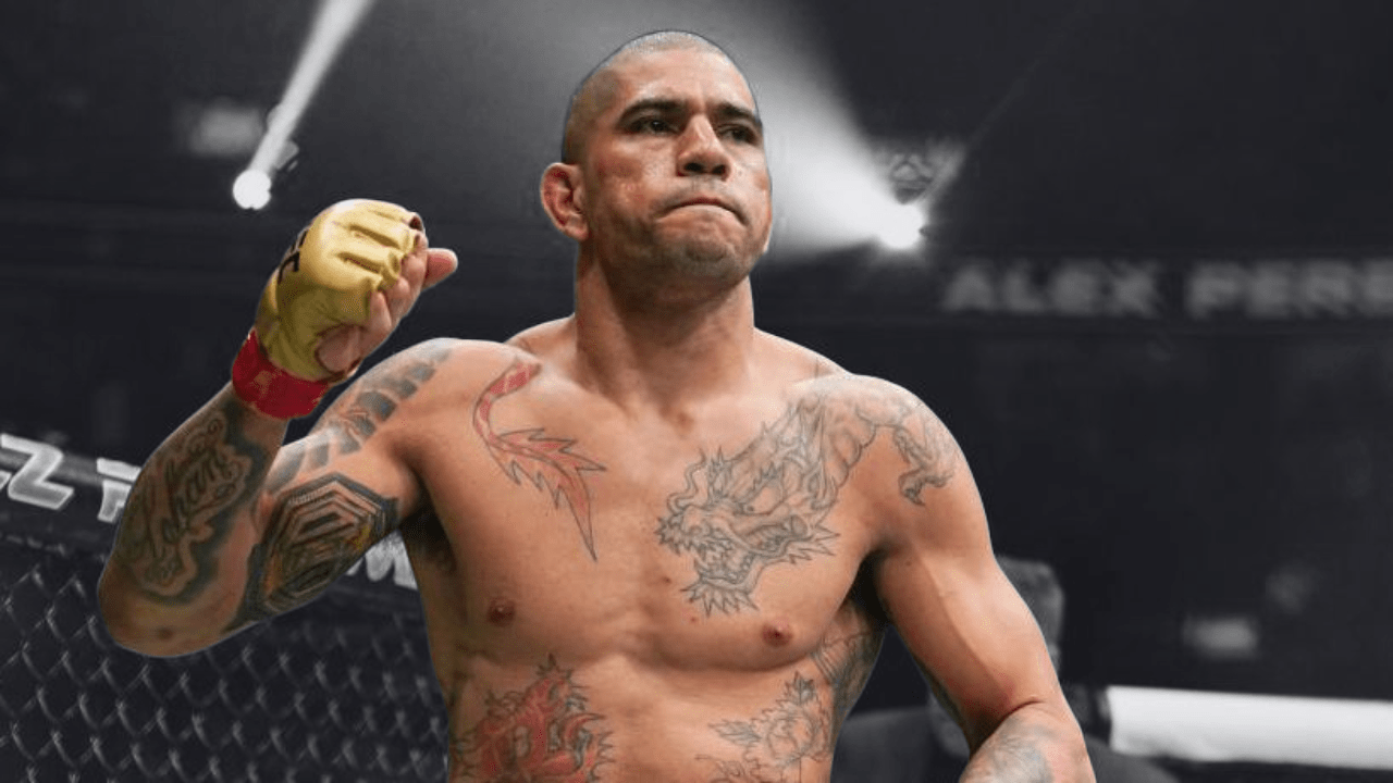 UFC Light Heavyweight betting trends
